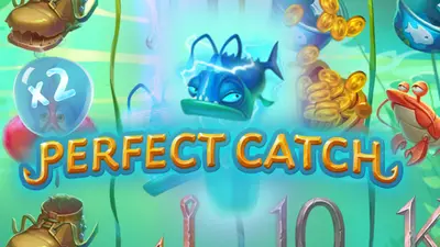 perfect catch